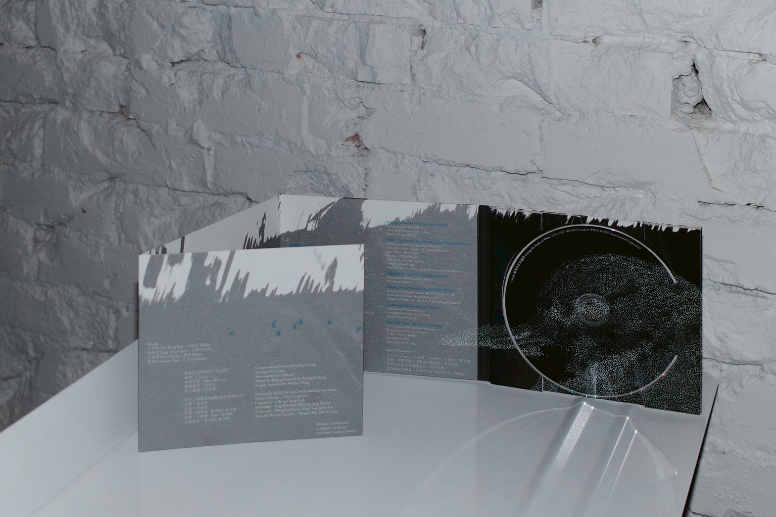 Cicada《凝視白色的邊界》巡迴音樂會